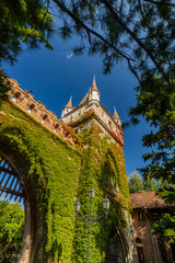 Fototapety na wymiar - Fototapeta24.pl