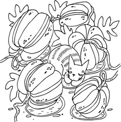 Graphic work. Striped сat sleeps among large pumpkins.