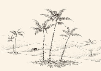 Oasis in the desert hand drawing, palm trees, fountain water and a camel in the background