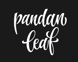 White colored hand drawn spice label - Pandan leaf. Isolated calligraphy scrypt stile word. Vector lettering design element.