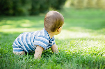 7 month child crawls on grass in yard,