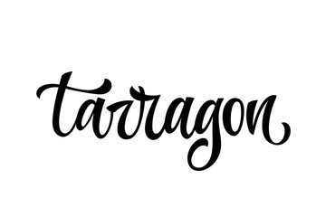 Tarragon - hand drawn spice label. Isolated calligraphy script style word. Vector lettering design element. Labels, shop design, cafe decore etc