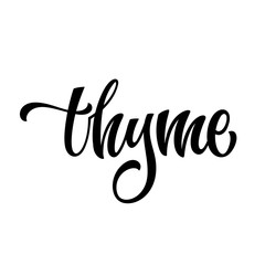 White colored hand drawn spice label - Thyme. Isolated calligraphy scrypt stile word. Vector lettering design element.