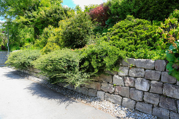 Garten- und Landschaftsbau: Mauer aus Natursteinen mit üppig wachsenden Grünpflanzen und...