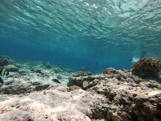 sea and rocks