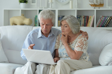 Portrait of senior couple using laptop at home