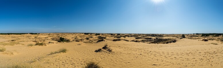 Panoramic view of Oleshky Sands on a blue sky in the Kherson region in Ukraine, the largest desert in Europe. Horizontal shot. 