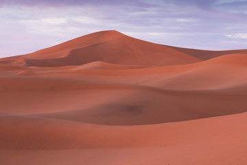 Fototapeta na wymiar Desert landscape sand dunes at sunset sky near Merzouga, Morocco, Africa. Discovery and adventure travel concept. Sunlight over the desert dunes.