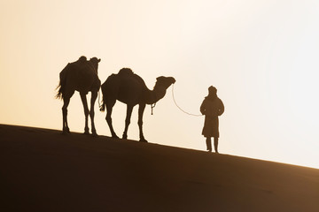 Fototapeta na wymiar Bedouin and camel on way through sandy desert Nomad leads a camel Caravan in the Sahara during a sand storm in Morocco Desert with camel and nomads Silhouette man Picturesque background nature concept