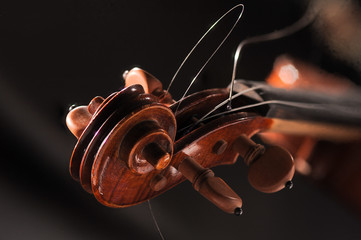 Violin scroll broken strings closeup studio shot