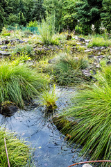 Botanical garden, Erlangen, Franconia, Germany