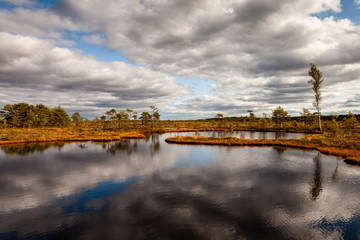 Estonian bog view, sky and white clouds reflected in wrinkled water. Narrow stripe of land in the middle of the picture. Soomaa National Park.