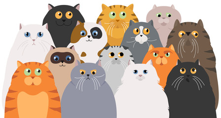 Affiche de chat. Collection de personnages de chat de dessin animé. Différentes poses et émotions du chat. Conception de style simple de couleur plate
