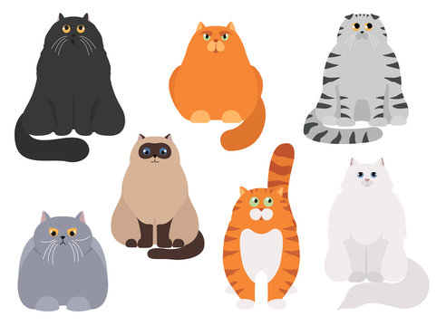 Cat poster. Cartoon cat characters collection. Different cat`s poses and emotions set. Flat color simple style design