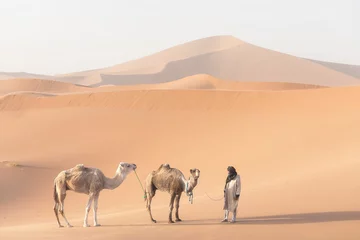 Foto auf Acrylglas Bedouin and camel on way through sandy desert Nomad leads a camel Caravan in the Sahara during a sand storm in Morocco Desert with camel and nomads Silhouette man Picturesque background nature concept © Michal