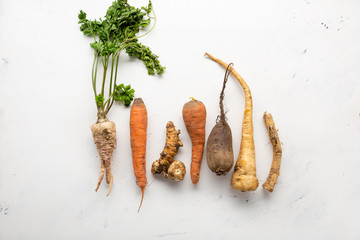 Fresh roots set on white background