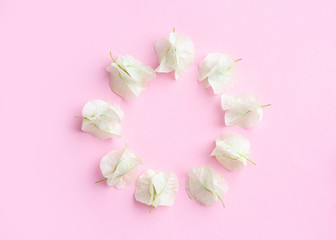 Fototapeta na wymiar white circle of flovers bougainvillea and leaves on pink background. Flat lay