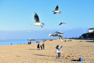 plage d arcachon depuis la jetee tiers