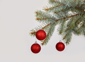 Obraz na płótnie Canvas Christmas red glitter bauble balls and evergreen spruce branch, on white background