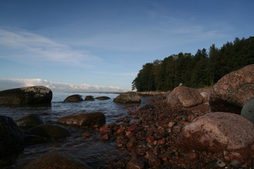 Fototapeta na wymiar Forest on the boulders beach
