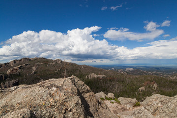 Fototapeta na wymiar Custer State Park Landscape View