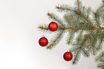Christmas red glitter bauble balls and evergreen spruce branch, on white background