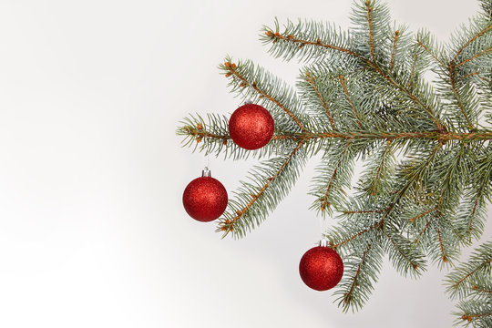 Christmas Red Glitter Bauble Balls And Evergreen Spruce Branch, On White Background