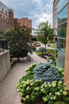 Hospital Memorial Gardens for Rest and Recreation