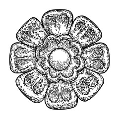Vintage style floral circular design element. Flower rosette drawing for printing. Fashion pattern in black white for textile backgrounds. Vector.