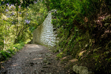 Fototapeta premium Building ruins and forest path. Beautiful warm spring day and archeological ruins at Butrint National Park, Albania, UNESCO heritage. Travel photography with fresh green flora