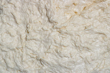 fresh dough close up, Food background, texture.