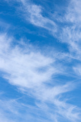 Simple Sky