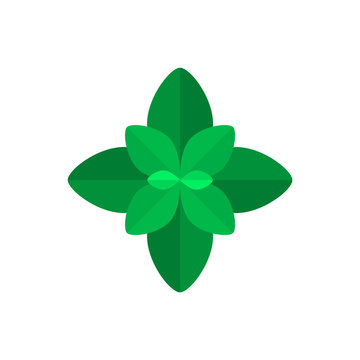 Basil or mint leaf icon. Green mint or basil leaves on white background. Aromatic tasty herb for flavoring dishes. Abstract basil plant symbol for food decoration. Vector illustration, flat, clip art.