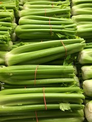 Row Of Celery For Sale