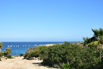 Widok z wyspy Comino na żaglówki