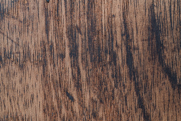 Wood samples for interior design or background textures grain close ups