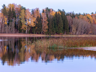 landscape with trees and clouds reflecting in calm water