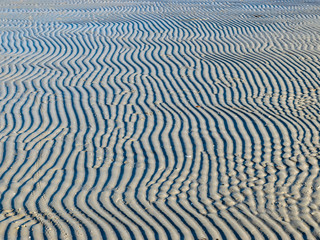 abstract texture with sand texture