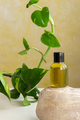 Organic essential oil bottle, natural wellness beauty products