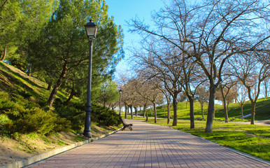 Beautiful picture of a sunny alley in park