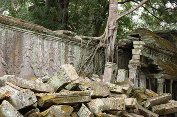 Ta Prom ,arbres ,racines et temple
