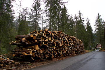 Stack of firewood lumber logs in Les Diaberets, Switzerland forest