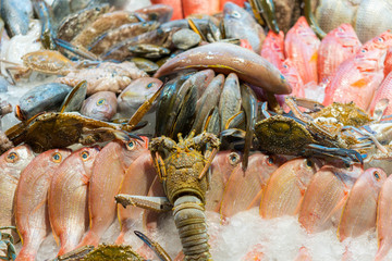 Lobsters, langustines, shrimp, fish with on ice. Seafood on display. counter with seafood, shrimp and crawfish with fish