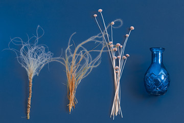 Dried flowers and a vase on a blue background.