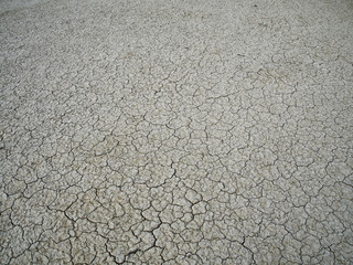 Cracked thin layer of earth in the hot steppes of Kazakhstan.