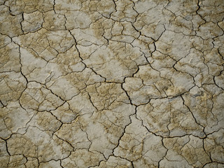 Cracked thin layer of earth in the hot steppes of Kazakhstan.