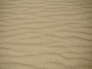 Fototapeta na wymiar Sand dunes near the village of Seneca in Kazakhstan.