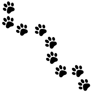 Paw trail. Paw print. Vector