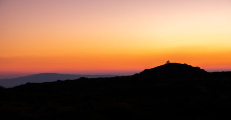 Pequena árvore isolada na montanha ao pôr do sol