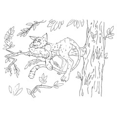 Cat on a tree. Vector illustration of a cat with a long tail on a tree. Hand drawn wild cat on a branch.